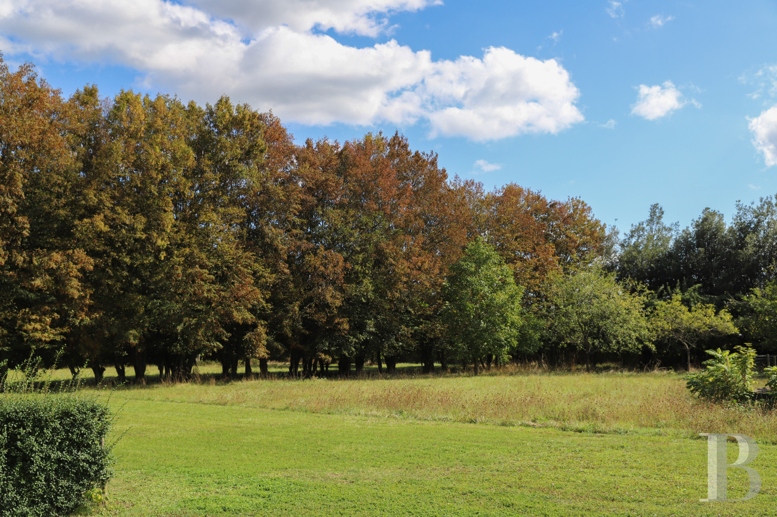 Dans la Sarthe, à l’est du Mans, un château du 19e siècle d’inspiration Renaissance dans son parc de onze hectares - photo  n°34